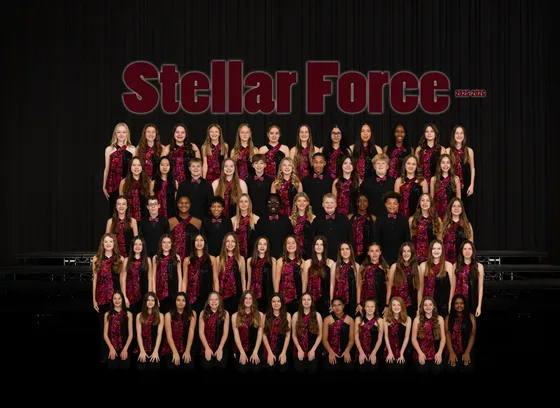 Stellar Force group photo